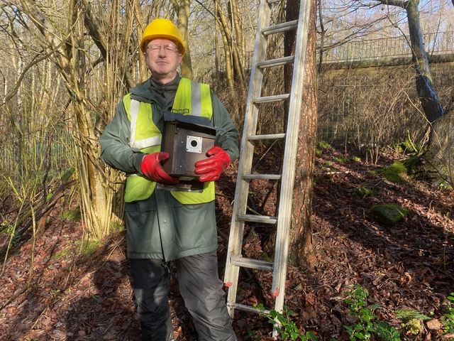 Friends of Adel Woods surveying nest boxes in January 2026