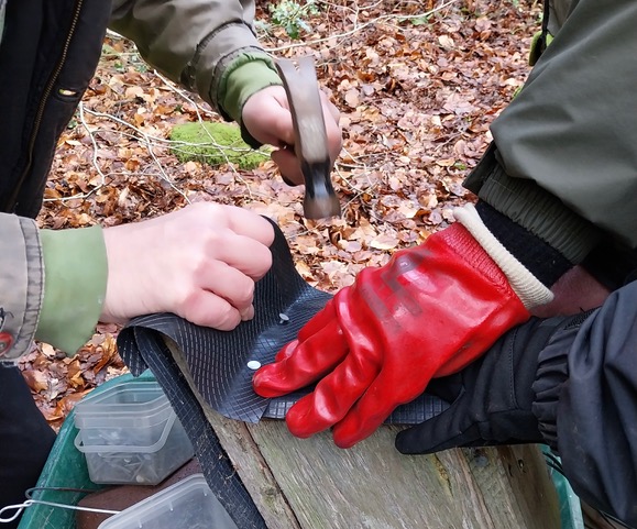 Friends of Adel Woods repairing a next box in Adel Woods on the 24th January 2026