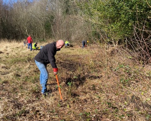 Friends of Adel Woods working on Adel Bog on the 14th March 2026