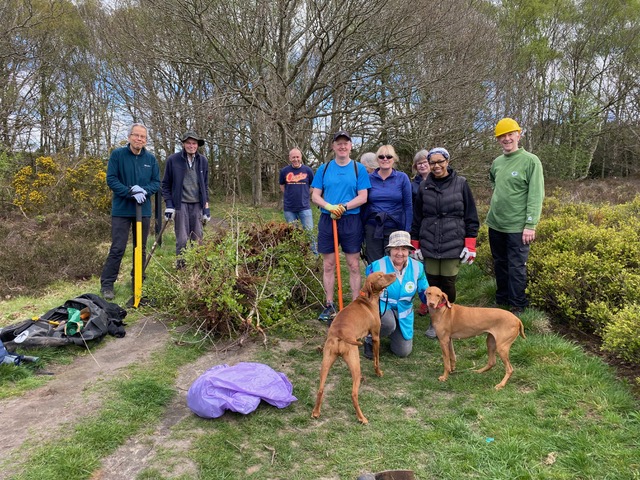 Friends of Adel Woods working on Adel Moor on the 19th April 2026