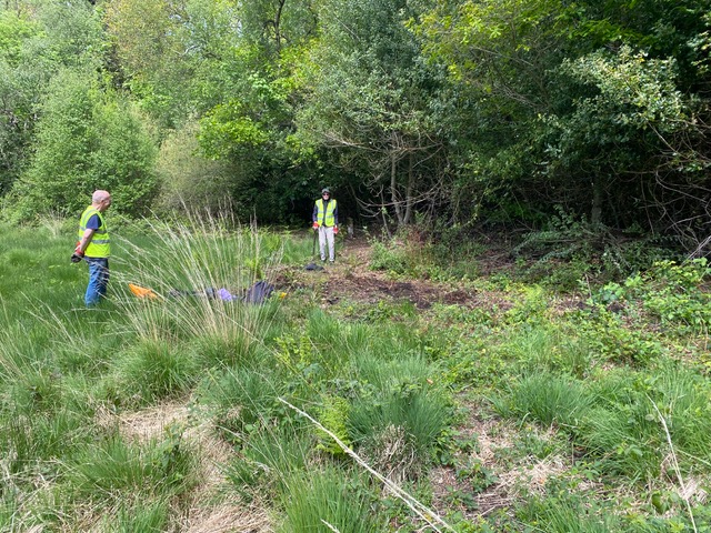 Friends of Adel Woods working on Adel Bog on Saturday the 26th May 2026