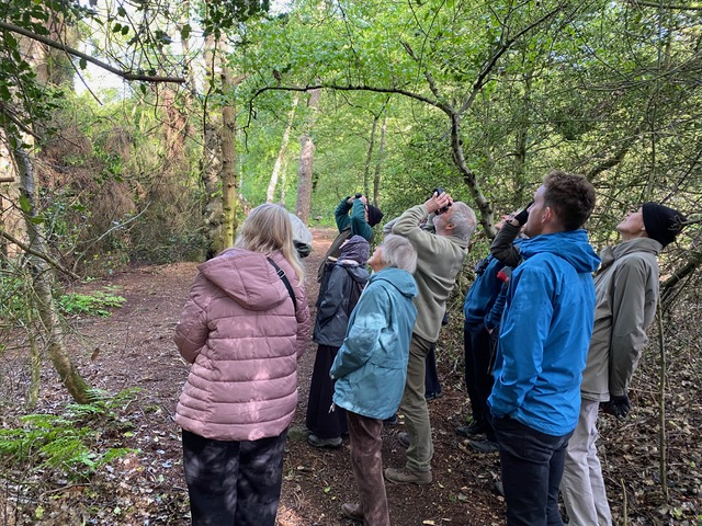 Friends of Adel Woods and a birdsong walk on Sunday the 17th May 2026
