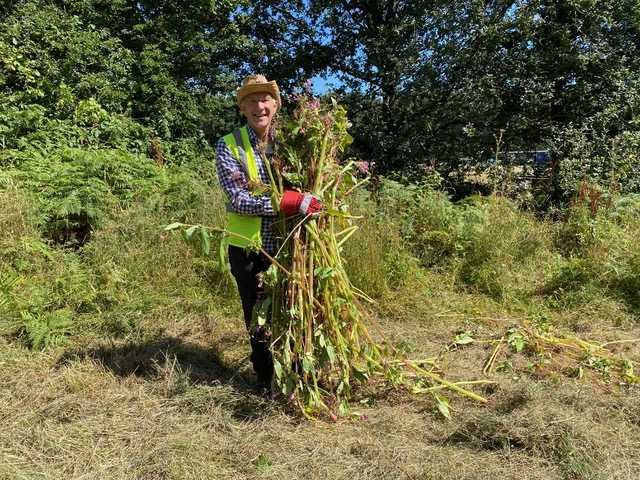 Friends of Adel Woods working on the orchid meadow on the 8th August 2026