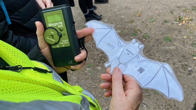 Friends of Adel Woods: a bat walk in Adel Woods on the 18th August 2026